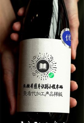 啤酒工廠定制 原漿精釀世濤果啤白啤 代加工酒水